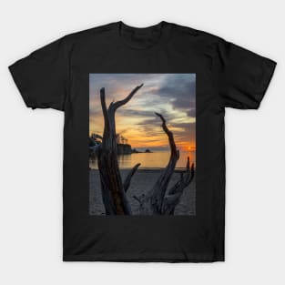 Driftwood Sunset T-Shirt